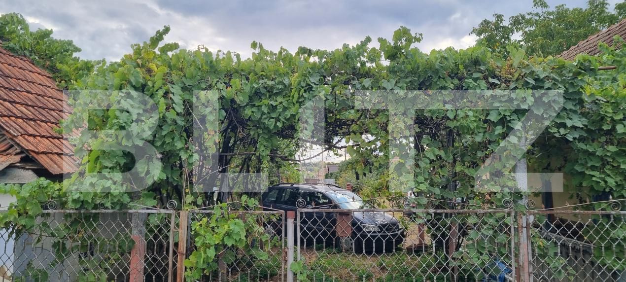 Casa de vânzare 2 camere Luncani - 204716CV | BLITZ Cluj-Napoca | Poza3
