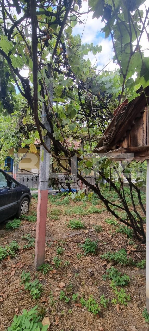 Casa de vânzare 2 camere Luncani - 204716CV | BLITZ Cluj-Napoca | Poza10