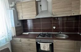 Apartament o camera, 30 mp, parcare, zona Cetatii 