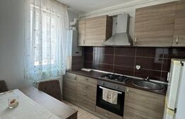 Apartament o camera, 30 mp, parcare, zona Cetatii 