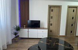 Apartament o camera, 30 mp, parcare, zona Cetatii 