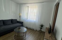 Apartament o camera, 30 mp, parcare, zona Cetatii 