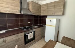 Apartament o camera, 30 mp, parcare, zona Cetatii 