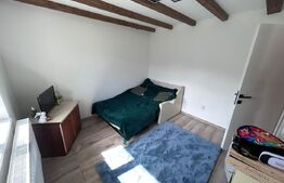 Casa de vanzare, 62 mp, teren 400 mp, doua fronturi, Loc. Boju 