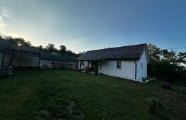 Casa de vanzare, 62 mp, teren 400 mp, doua fronturi, Loc. Boju 