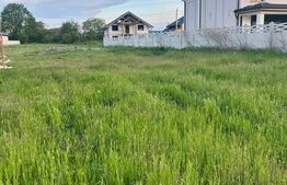 Teren intravilan, 700 mp, zona Mihai Viteazu