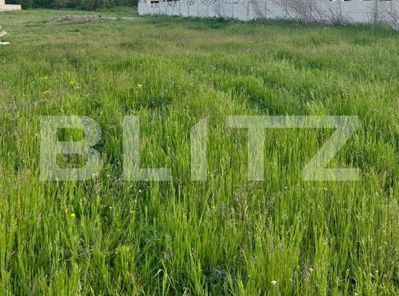 Teren de vânzare Mihai Viteazu - 204760TV | BLITZ Cluj-Napoca | Poza1