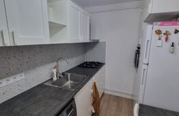 Apartament 1 cameră, 30.60 mp, zona The Office