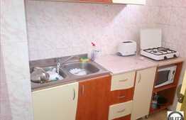 Garsoniera 28 mp, zona Brancusi, mobilata utilata