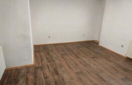 Spatiu comercial cu vizibilitate mare si vad comercial, 65 mp, zona Schei