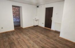 Spatiu comercial cu vizibilitate mare si vad comercial, 65 mp, zona Schei