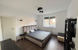 Apartament de inchiriat, 2 camere, 60 mp, parcare, zona Tractorul