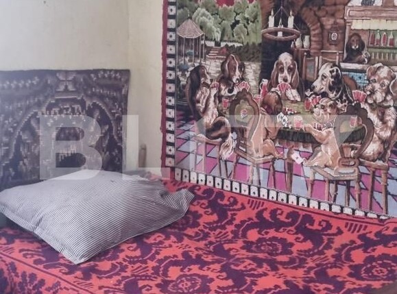 Casa de vânzare 2 camere Iacobeni - 204855CV | BLITZ Cluj-Napoca | Poza6