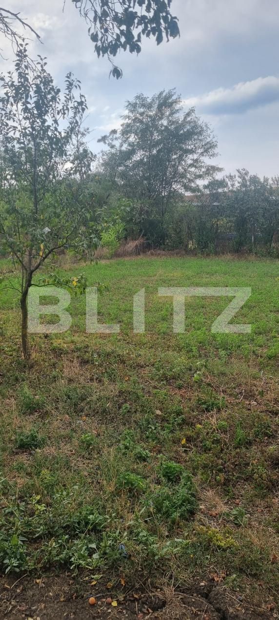 Casa de vânzare 2 camere Ceanu Mare - 204855CV | BLITZ Cluj-Napoca | Poza19
