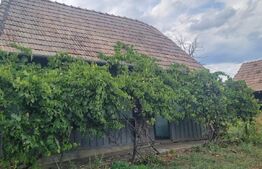 Casa 2 corpuri si anexe, 69 mp, zona Tritenii de Sus