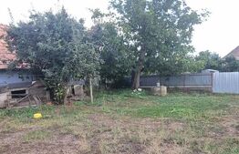 Casa 2 corpuri si anexe, 69 mp, zona Tritenii de Sus
