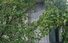 Casa 2 corpuri si anexe, 69 mp, zona Tritenii de Sus