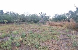 Casa 2 corpuri si anexe, 69 mp, zona Tritenii de Sus