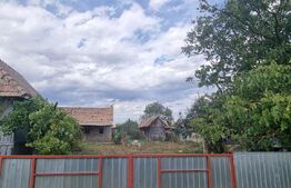 Casa 2 corpuri si anexe, 69 mp, zona Tritenii de Sus
