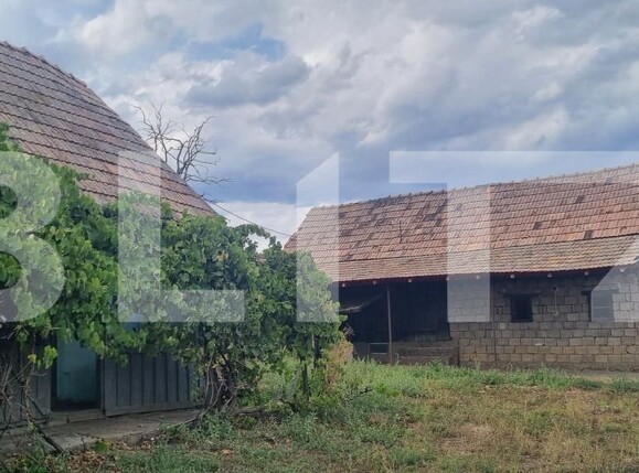 Casa de vânzare 1 camera Tritenii de Sus - 204858CV | BLITZ Cluj-Napoca | Poza3