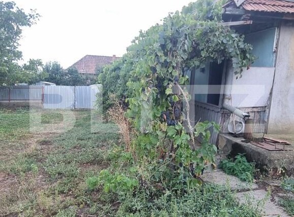 Casa de vânzare 1 camera Tritenii de Sus - 204858CV | BLITZ Cluj-Napoca | Poza13