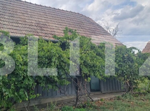 Casa de vânzare 1 camera Tritenii de Sus - 204858CV | BLITZ Cluj-Napoca | Poza4