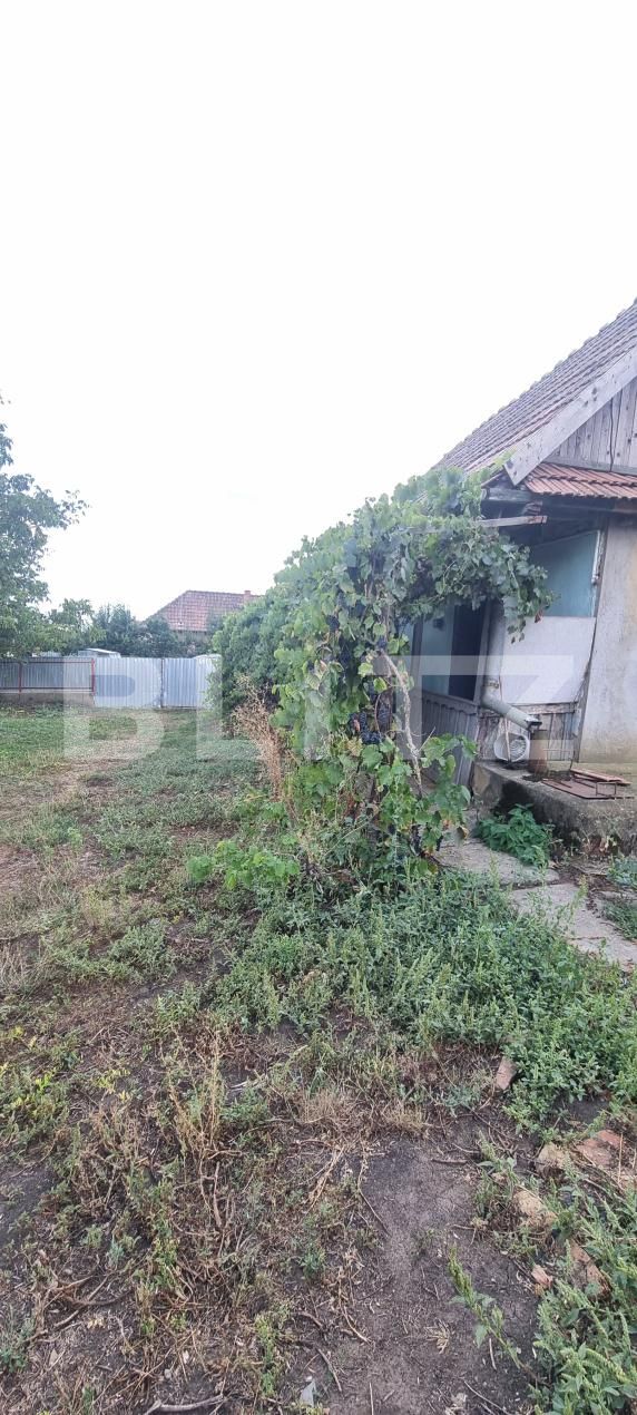 Casa de vânzare 1 camera Tritenii de Sus - 204858CV | BLITZ Cluj-Napoca | Poza13