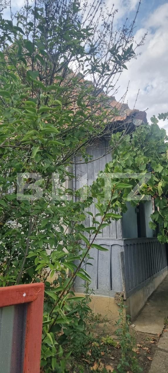 Casa de vânzare 1 camera Tritenii de Sus - 204858CV | BLITZ Cluj-Napoca | Poza8
