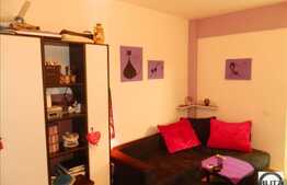 Garsoniera mobilata utilata in  zona strazii Teodor Mihali