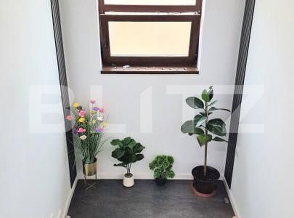 Casa de închiriat 4 camere Manastur - 204934CI | BLITZ Cluj-Napoca | Poza14
