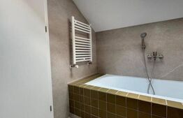 Apartament la casa, 60 mp, zona Marasti 