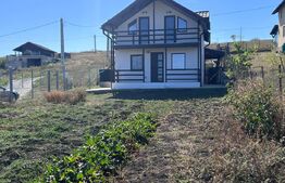 Casa de vânzare 3 camere Răscruci - 205741CV | BLITZ Cluj-Napoca | Poza3