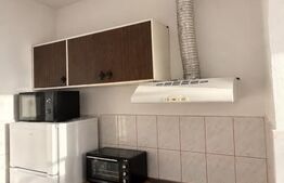 Garsoniera de vanzare, 21 mp, zona Manastur