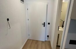 Apartament 1 camera, 40 mp, zona Marasti