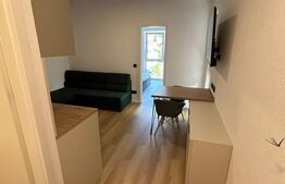 Apartament 1 camera, 40 mp, zona Marasti