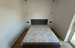 Apartament 1 camera, 40 mp, zona Marasti
