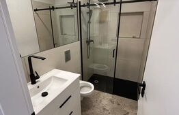Apartament 1 camera, 40 mp, zona Marasti