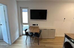 Apartament 1 camera, 40 mp, zona Marasti