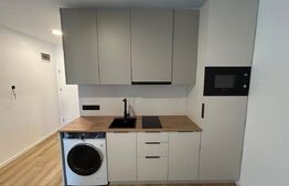 Apartament 1 camera, 40 mp, zona Marasti
