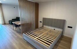 Apartament 1 camera, 45 mp, zona Marasti