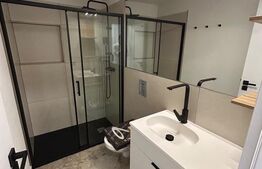 Apartament 1 camera, 45 mp, zona Marasti