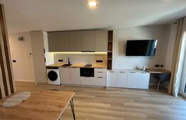 Apartament 1 camera, 45 mp, zona Marasti