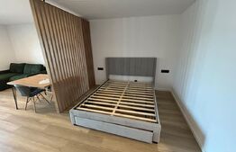 Apartament 1 camera, 45 mp, zona Marasti