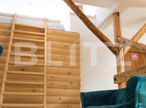 Garsonieră de închiriat Centrul Istoric - 205085AI | BLITZ Brașov | Poza7
