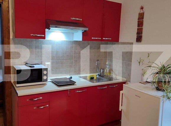 Apartament de închiriat 2 camere Centrul Istoric - 205089AI | BLITZ Brașov | Poza3