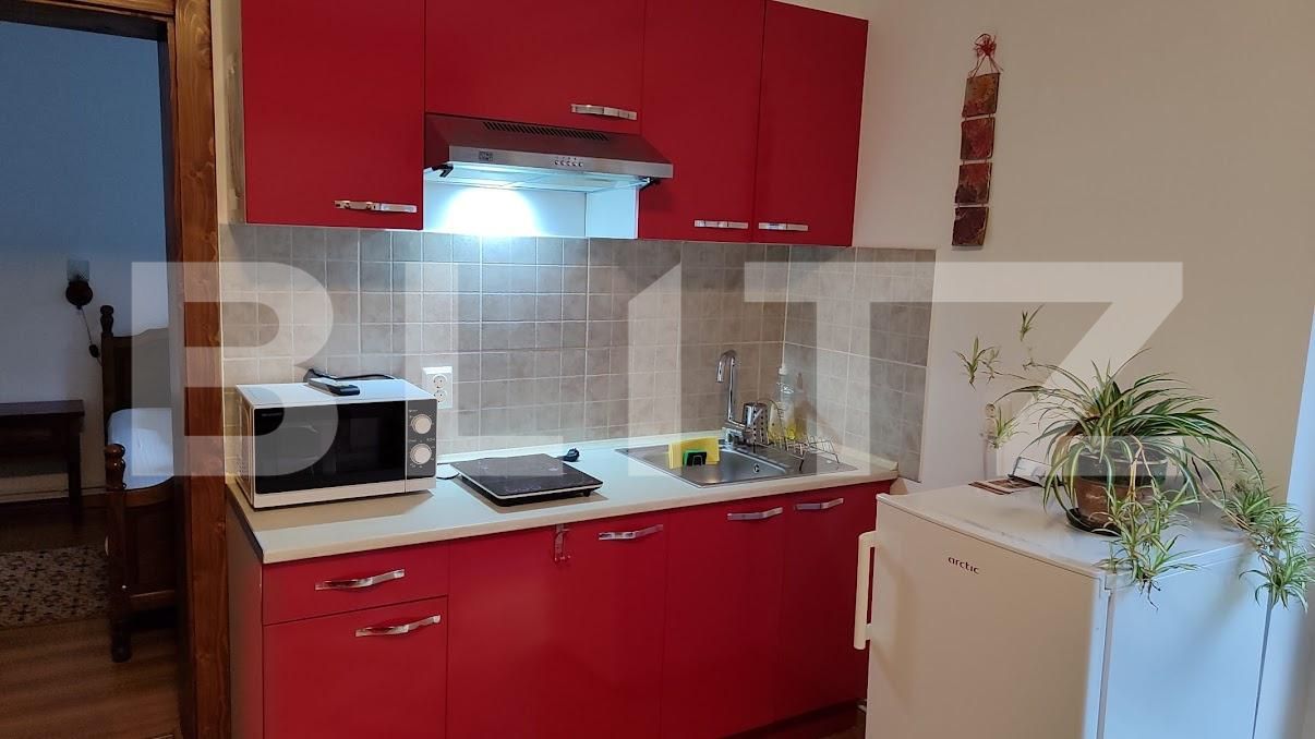 Apartament de închiriat 2 camere Centrul Istoric - 205089AI | BLITZ Brașov | Poza3