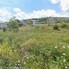 Teren de vânzare Chinteni - 205095TV - Poza 1 din 3 | BLITZ Cluj-Napoca | Poza1