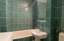 Garsoniera decomandata, balcon, pet friendly, 30 mp, zona Expo Transilvania