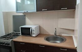 Garsoniera decomandata, balcon, pet friendly, 30 mp, zona Expo Transilvania