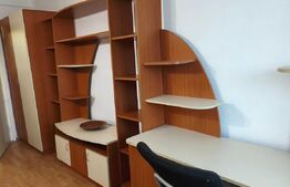 Garsoniera decomandata, balcon, pet friendly, 30 mp, zona Expo Transilvania